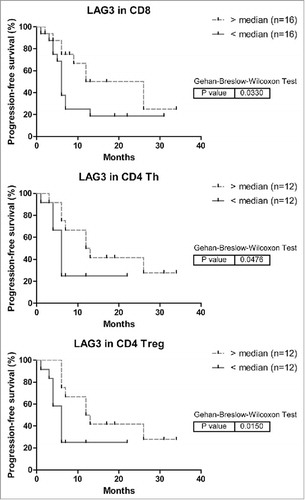 Figure 7. Kaplan-Meier curves of progression-free survival (time to recurrence) in relation to LAG3 expression on intra-tumoral T cells in MMR-proficient LM-CRC. The cutoff values to divide the patients into two groups are the median percentages of LAG3+ cells in tumor-infiltrating CD8+ CTL, CD4+Foxp3− Th or CD4+Foxp3+ Treg cells. For determination of the p values the Breslow test was used.
