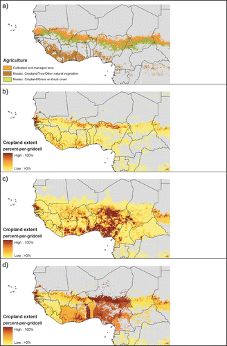 Figure A1. Comparison of cropland estimates for West Africa. (a) Agricultural land cover according to the GLC2000, (b) cropland map of Ramankutty and Foley Citation(1999), (c) cropland map of Ramankutty Citation(2004), and (d) our cropland result. The adjustment of the cropland extent in our data (d) to national census data (table A1) is based on map (b) and results in discernible national boundaries. The result is similar to the pattern in map (c) which approximates (but does not reproduce) FAO cropland data on the national level. Note the disparities of all three cropland maps (b,c,d) with the GLC land cover map (a). We conclude that a satisfactory representation of cropland in that region remains elusive. (Available in colour online)