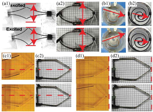 Figure 7. Conventionally assembled IPMC actuators vs. 3D-printed IPMC actuators exhibiting attenuated response of thicker 3D-printed IPMCs to 2.5 volt, 0.5 Hz periodic inputs due to longer response time and greater stiffness: (a1) actuation of linear actuator constructed from IPMC actuators and passive materials, (a2) actuation of 3D-printed linear actuator, (b1) actuation of rotary actuator constructed from IPMC actuators and passive materials, (b2) actuation of 3D-printed rotary actuator, (c1) lateral actuation of MDoF actuator constructed from IPMC actuators and passive materials, (c2) lateral actuation of 3D-printed MDoF actuator, (d1) translational actuation of MDoF actuator constructed from IPMC actuators and passive materials, (d2) translational actuation of 3D-printed MDoF actuator. Figures (a2), (b2), (c2) and (d2) reprinted with permission from [Citation212]. (a1) reprinted with permission from [Citation95]. Figure (b1) reprinted with permission from [Citation96]. (c1) and (d1) reprinted with permission from [Citation14].