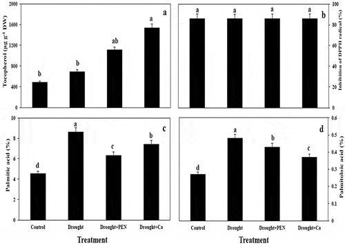 Figure 3. The effect of PEN, Ca, and PEG on tocopherol content (A), inhibition of DPPH radical (B), palmitic acid (C), and palmitoloic acid (D) in canola seed. Vertical bars indicate mean ± SE of three replicates. Different letters indicate significant differences at P < 0.05.