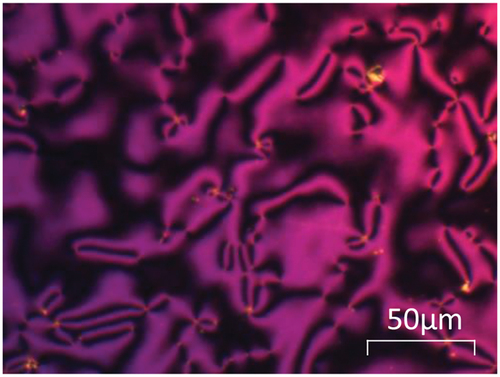 Figure 3. (Colour online) The nematic schlieren texture observed for CB10Br at 38 °C.