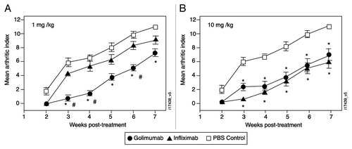 Figure 4 Golimumab and infliximab suppress disease activity in the human TNFα transgenic mouse model of arthritis. The change in arthritic index was monitored weekly following a single intraperitoneal injection at week 0 of 1 mg/kg (A) or 10 mg/kg (B) of golimumab (solid circles) and infliximab (solid triangles). Results for the vehicle control group (open squares) are shown on both graphs. Each data point is the mean (n = 10) ±SEM. The symbols indicate p < 0.05 compared with vehicle (*) or golimumab compared to the same dose of infliximab (#).