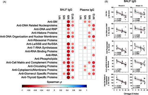 Figure 8. Relationship of IgG AAb responses to ω-3 index in erythrocytes. AAb responses negatively correlate with erythrocytes ω-3 index. (A) For all cSiO2-treated groups, Spearman ρ values were calculated by correlating Σ IgG Ab-score values for specific categories (Table 1) in BALF and plasma with the ω-3 index in erythrocytes at 1, 5, 9, and 13 weeks PI. Significant correlation values (p ≤ .05) are represented as shaded circles; non-significant correlations are indicated by blank cells. (B) Scatter plots for Σ Ab-score values from selected IgG AAb groups in BALF vs. ω-3 index in erythrocytes at week 9 and week 13. Linear regression lines with 95% confidence intervals (dashed red line) are shown along with the Spearman ρ value and p-value.