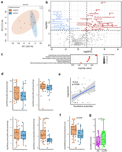 Figure 2. Presence of archaea in stool correlate with SCFA and BA homeostasis. (a,b,d,f) Comparison between archaea-pos (blue) and archaea-neg (orange) stool samples. (a) PCA plot of stool sample metabolite composition. (b) Volcano plot of metabolomics data, p-value threshold 0.05; log2 fold-change threshold ±1. (c) Small Molecule Pathway Database pathway enrichment ratios of metabolomics data. (d) Stool sample bile acid concentrations detected via HPLC-MS. (e) Correlation of fecal calprotectin and relative abundance of facultative anaerobes. (f) Number of bacteria within 3-μm distance from the epithelium detected via DAPI, normalized to length of epithelium per section as determined via confocal microscopy of colonic biopsies. (g) Archaea qPCR RQ values in patients with PPI intake (PPI, purple, n = 25) and no PPI intake in the previous five years (no-PPI, green, n = 37). Statistical analysis: (a–c) n = 5 archaea-pos and 5 archaea-neg stool samples. (d) Mann Whitney U test, n = 16 archaea-pos and 21 archaea-neg stool samples. (e) Linear regression analysis, n = 47 stool samples, *p ≤ .05; **p ≤ .01.