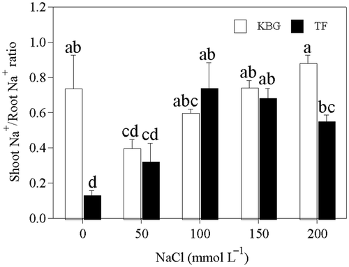 Figure 5. Shoot Na+/root Na+ ratios of Kentucky bluegrass (KBG; Poa pratensis L.) and Tall fescue (TF; Festuca arundinacea Schreb.) at different sodium chloride (NaCl) concentrations. Bars indicate standard error (n = 3). Different lower case letters indicate significant differences between means at P = 0.05 according to Duncan's multiple range tests. Na+, sodium cations.