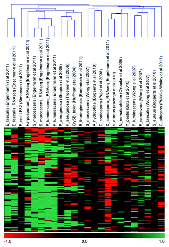 Figure 2. Hierarchical clustering analysis of the core immune response in C. elegans. The clustering analysis was performed using the software MeV v4.8. Green indicates induction of the corresponding gene/protein and red indicates repression under the designated condition.