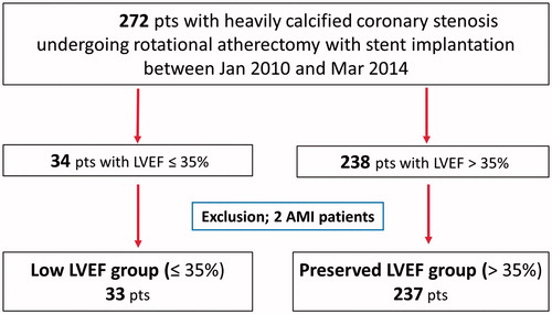 Figure 1. Study flow chart. Two hundred seventy-two consecutive patients with heavily calcified coronary stenosis treated with RA followed by stent implantation at New Tokyo Hospital between January 2010 and March 2014 were retrospectively identified. Two patients with acute myocardial infarction were excluded from this study. Therefore, 270 patients were enrolled in this study. Of these, 33 patients had LVEF ≤35% (low LVEF group), and 237 patients had LVEF >35% (preserved LVEF group). RA: rotational atherectomy; LVEF: left ventricular ejection fraction; AMI: acute myocardial infarction.