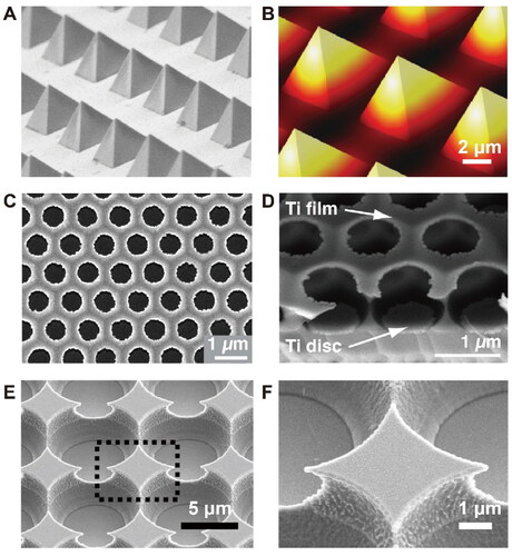 Figure 2. Overview of photothermal substrates used for nanosecond laser induced photoporation. (A) Scanning electron microscope (SEM) images of the pyramids substrate. Adapted with permission from (Saklayen et al. Citation2017). Copyright (2017) American Chemical Society. (B) Finite element method simulation showing the temperature of the thermoplasmonic pyramids. Adapted with permission from (Saklayen et al. Citation2017). Copyright (2017) American Chemical Society. (C) SEM image of the nanocavities substrate. Adapted with permission from (Madrid et al. Citation2018). Copyright (2018) American Chemical Society. (D) Tilted SEM image of nanocavities substrate. Adapted with permission from (Madrid et al. Citation2018). Copyright (2018) American Chemical Society. (E) SEM image of fabricated substrate with microwells and sharp tips. Adapted with permission from (Man et al. Citation2019). Copyright (2019) American Chemical Society. (F) High magnification image of the black square area in (E). Adapted with permission from (Man et al. Citation2019). Copyright (2019) American Chemical Society.