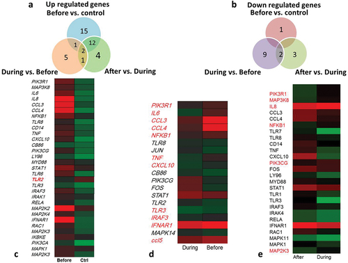 Figure 1. Venn diagrams and heat map of expression levels of TLRs pathway genes (110 genes) among lymphoma patients (before, during and after chemotherapy) and healthy control: (a)down regulated and (b) up regulated(c) healthy control vs. before chemotherapy (d) before vs. during chemotherapy (e) during vs. after chemotherapy.