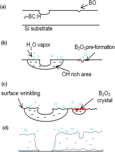 Figure 8. Schematic illustration showing the oxidation sequence on the a-BC:H oxidized film. (a) As-deposited film surface, (b) absorption of moisture, (c) diffusion into the bulk and (d) film delamination.