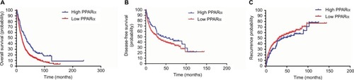 Figure 2 Low PPARα (cytoplasm) expression is correlated with an unfavorable prognosis in 804 HCC patients.Notes: Kaplan–Meier analysis shows significant differences in overall survival between postoperative HCC patients with high and low PPARα (cytoplasm) expression (A). A similar trend was observed in HCC patients with high and low PPARα (cytoplasm) expression comparing disease-free survival (B) and the probability of recurrence (C).Abbreviations: PPARα, peroxisome proliferator-activated receptor α; HCC, hepatocellular carcinoma.