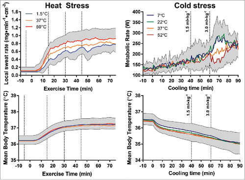 Figure 1. Redrawn thermometric (mean body temperature, bottom panels) and physiologic responses (sweat rate, top left panel; metabolic rate, top right panel) to warm and cold fluid ingestion during exercise in the heat from Morris et al. 2014Citation2 (left panels) and passive cold exposure from Morris et al. 2016Citation3 (right panels). Dashed lines denote time points at which fluid ingestion occurred.