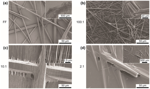 Figure 1. SEM images of samples (a) FF, (b) 100:1, (c) 10:1 and (d) 2:1.