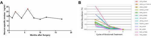 Figure 6 The efficiency of the treatment evaluated by blood test. (A) NSE detected in serum before and during the treatment course. (B) ctDNA tested via NGS before and after 2, 4 cycles after nivolumab treatment.