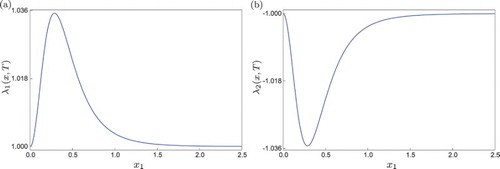 Figure 1. FTLE computed for system (Equation8(8) x1′(t)=κx1(t),x2′(t)=g(x1(t))−x2(t),(8) ) at T=1.