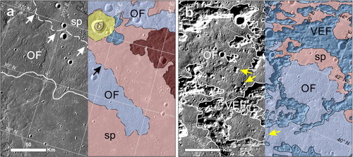 Figure 6. (a) Low hills of the OF concentric to the rim of Caloris. In some places the boundary with the adjacent SP is gradational (approximate contact marked with dashed line indicated by arrows). (b) OF – knobby facies constituted by small blocks (yellow arrows), interpreted as Caloris ejecta, surrounded by smoothed material. The OF occurs between the ridges and grooves of the VEF.