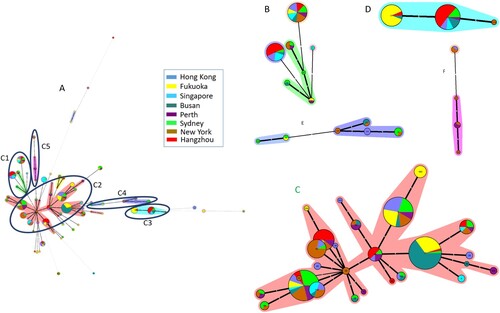 Figure 2. Relationship of all C. difficile isolates based on MLST by MST. The number in the circle shows the ST type, and the size of circle corresponds the total number of C. difficile isolates belonging to this ST. The number of allelic differences between STs is showed on the branches. Nodes are connected by a dashed line if the allelic difference is over two alleles. Different colours correspond to different sites. A: The MST of C. difficile isolates in the study, B: A part of MST-CC1 including ST34, 35, 44, 54, 58, 95, and 357; C: A part of MST-CC2 including ST2, 3, 4, 8, 13, 14, 16, 17, 18, 28, 29, 32, 33, 42, 48, 49, 53, 66, 83, 92, 101, 102, 110, 183, 203, and 322; D: A part of MST-CC3 including ST37, 81, and 219; E: A part of MST-CC4 including ST43, 104, 129, 152, 235, and 239; F: A part of MST-CC5 including ST1, 41, 67, and 362.