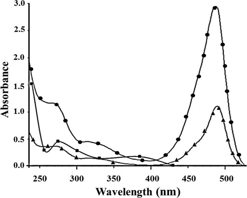 Figure 2. UV–visible spectra of paraoxon–BSA (▪), FITC (▴) and paraoxon–BSA–FITC (●).