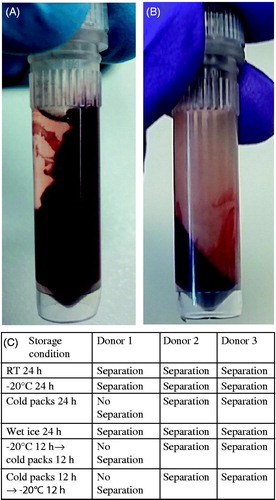 Figure 1. Different shipment conditions of whole blood with RNALater. (A) Whole blood with RNALater after centrifugation for 1 min without shipment. (B) Whole blood with RNALater after centrifugation for 1 min after shipment on wet ice. (C) Centrifugation results of whole blood with RNALater samples from three donors at varying storage conditions.