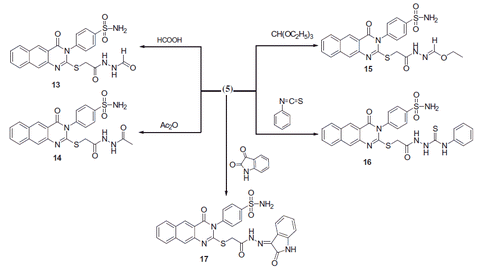 Scheme 2. Formation of benzoquinazoline-sulfonamide derivatives 13–19.