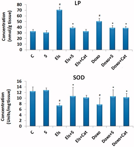 Figure 3. Changes in the levels of lipid peroxidation (LP) and the activity of superoxide dismutase (SOD) in the tissue of the control hearts and hearts subjected to electrolysis or to doxorubicin alone or in presence of saffron extracts or catalase. #p < 0.05 versus control and *p < 0.05 versus Els or Doxo, n = 5. C, control heart; S, saffron; Els, electrolysis; Doxo, doxorubicin; and Cat, catalase.