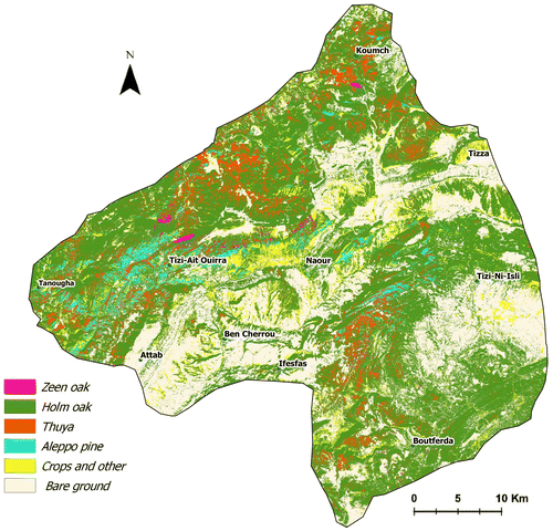 Figure 4. Forest stand map for 2015. Source: Author.