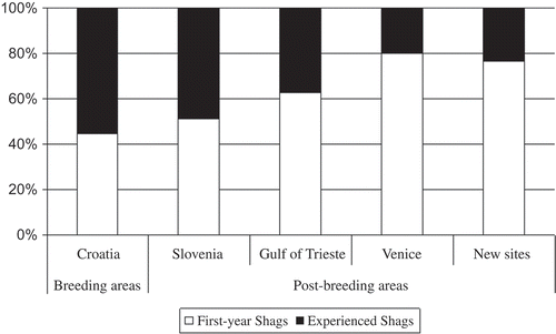 Figure 5. Age structure of Shags (first-year and experienced Shags) recorded in different areas of the northern Adriatic Sea. The “New sites” category takes into account the locations which are interesting with respect to date of sighting, direction taken and distances covered.