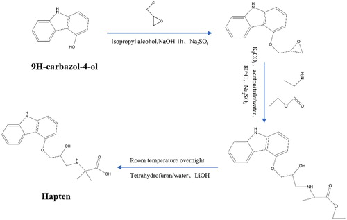 Figure 1. Hapten synthesis carazolol.
