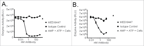 Figure 1. CD73-expressing human NCI-H322 (Panel A) or mouse 4T1 (Panel B) cells were incubated with AMP and MEDI9447 or an isotype control antibody at the indicated concentrations. Following incubation, ATP and CellTiter-Glo® were added and light emission inhibition was measured by luminometer. The mean signal of duplicate samples is plotted with error bars representing the standard deviation of the mean. Data are representative of five independent experiments.