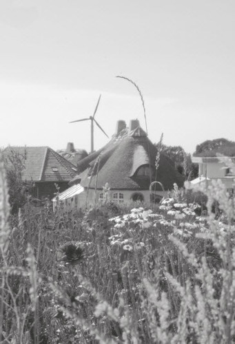Fig. 3: The eco-social community life in Dyssekilde is reflected in its architecture.(Copyright: Matawan Baio with permission)