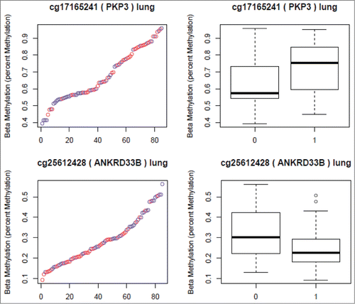 Figure 1. CpG sites Selected from the Lung Analyses. (Red in the scatter plots and 1 in the boxplots represents nicotine exposed tissue. Blue in the scatter plots and 0 in the boxplots represents unexposed tissue). The Y axis in both plots represents the β-values. The X axis in the scatter plots represents individual samples.