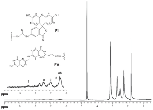 Figure 1 1H NMR spectrum of G5.NHAc-FI-FA dendrimers.Abbreviation: G5.NHAc-FI-FA, fluorescein isothiocyanate-modified and folic acid-modified G5 PAMAM dendrimers with acetyl terminal groups.