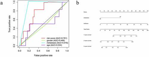 Figure 5. The prognostic value of immune-related prognostic index of OS patients. (a) Survival-dependent receiver operating characteristic (ROC) curves for validation of prognostic value of the prognostic index. (b) The nomogram for predicting overall survival