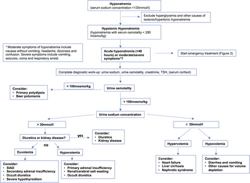 Figure 2. Diagnostic work-up of hyponatremic patients in the emergency department.This figure displays the required diagnostic steps in differential diagnosis of hyponatremia, including laboratory tests in blood and urine samples and assessment of current medication and comorbidities. Abbreviations: SIAD = syndrome of inappropriate antidiuresis. The figure is adapted from: Spasovski et al., Clinical practice guideline on diagnosis and treatment of hyponatraemia. Intensive Care Med 2014; 40: 320–331. (Spasovski et al., Citation2014).