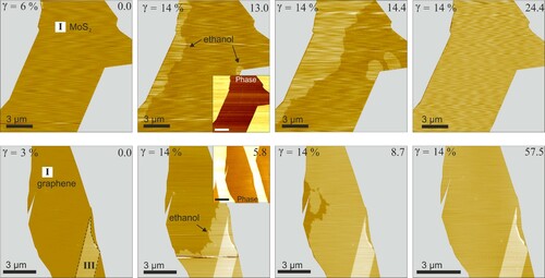 Figure 3. Ethanol wetting kinetics: Relative vapour pressure of ethanol γ is shown top left of each image. Time in minutes is shown top-right. Roman numerals indicate the number of layers of the 2D materials. Top row (left to right): single-layer MoS2 on mica. Bottom row (left to right): single-layer graphene on mica. The MoS2 interface did not show any changes at γ=6% for 30 min. The graphene interface did not show any changes at γ=3% for 20 min. As γ is increased to 14% a compact layer starts wetting the two interfaces from edges eventually forming a complete monolayer. Phase images (insets) show no change in contrast, suggesting the wetting film is under the 2D covers. In the bottom row sequence, wetting was halted by purging with dry nitrogen and subsequently resumed by increasing γ again. Right-most image of graphene was acquired after wetting resumed. Completely wetted interfaces recover the ultra-flat topography. Bare mica areas are masked grey; images without the grey masks are shown in supporting information Figure S2.