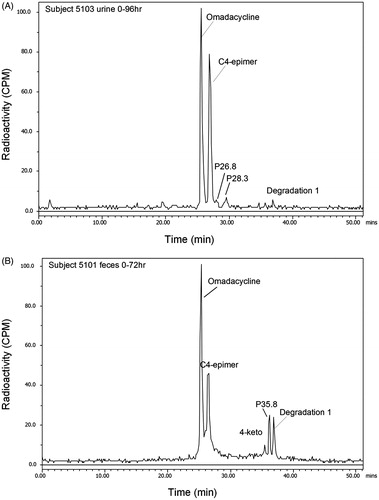 Figure 7. Representative radio-profiles in human (A) urine and (B) feces, after a single oral 300 mg dose of [14C]-omadacycline. Results shown reflect pooled samples from time intervals representing ∼94% of urinary radioactivity (Subject 5103) and ∼96% of fecal radioactivity (Subject 5101).