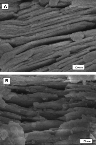 Figure 7. SEM images of (A) pure kaolinite and (B) urea–kaolinite after 1 h dry grinding.