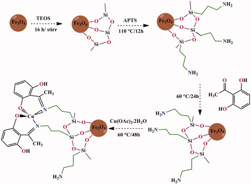 Scheme 1. The synthesize of Fe3O4@SiO2@APTS NPs functionalized by ∼ NH2-Schiff and its Cu(II).