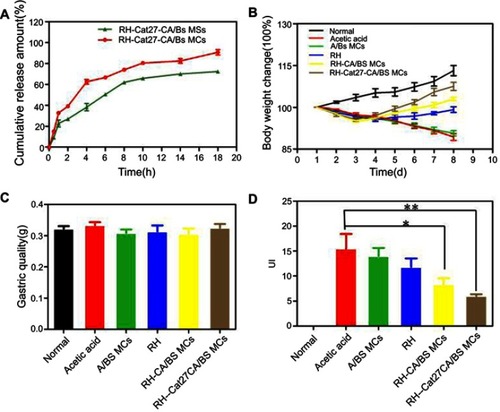 Figure 8 Catechol-functionalized alginate/barium sulfate multifunctional microcapsules mediated RH delivery for acetic acid-induced mouse gastric ulcer treatment. (A) Release curve of RH-Cat27-CA/BS MSs/MCs in simulated gastric fluid. (B) Loss of basal body weight of mice under different treatments during gastric ulcer disease. (C) Gastric weight from each group of mice under different treatments (n=6 per group). (D) UI for each group of mice under different treatments (n=6 per group). Data are presented as mean ± standard error of the mean. *P<0.05, **P<0.01 vs acetic acid-alone-treated group on the same day.Abbreviations: RH, ranitidine hydrochloride; Cat27-CA/BS MSs/MCs, catechol-27–chitosan alginate/barium sulfate microspheres/microcapsules; A/BS MCs, alginate/barium sulfate microcapsules; UI, ulcer index.