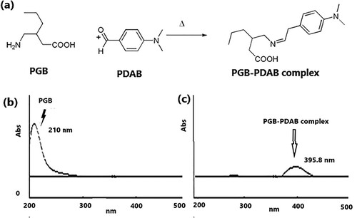 Figure 6. Derivatization of pregabalin with p-dimethylamino benzaldehyde (a), absorption spectra of PGB (b) and PGB-PDAB complex (c). Reproduced from ref [Citation67].