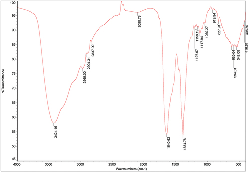 Figure 5. FT-IR spectrum of biosynthesized AgNPs by the G. mangostana peel extract.