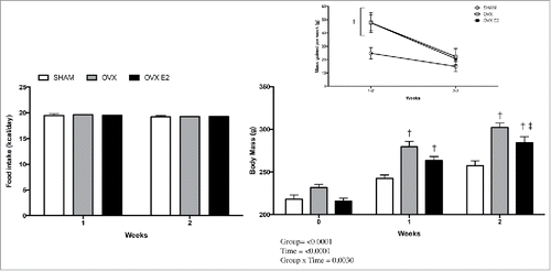 Figure 1. Food intake (A), body mass (B) and (inset) rate of increase in body mass in SHAM, OVX and OVX E2 rats. Data are presented as mean ± SEM. Statistical significance is accepted at p < 0.05; † denotes significant difference compared with SHAM control within weekly time point, ‡ denotes significant difference compared with OVX within weekly time point.