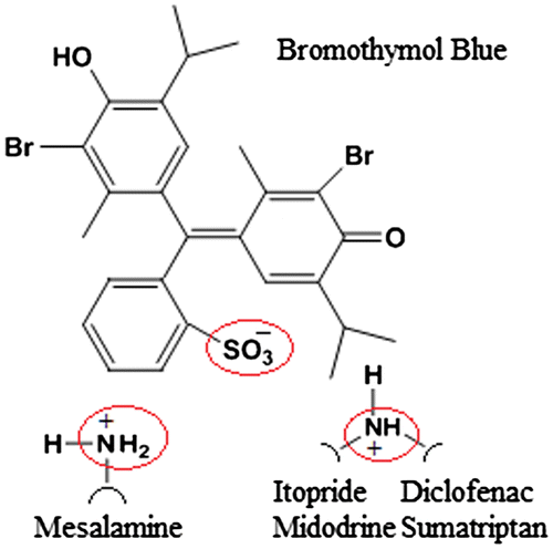 Figure 4. Plausible mechanism of ion-pair complex formation between the drugs and the anionic dye, bromothymol blue.