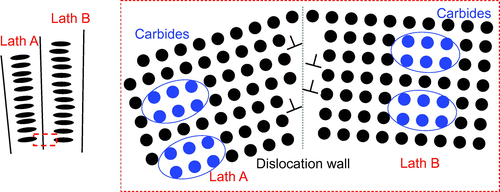 Figure 4. Schematic representation of intralath precipitation and recovery of low-angle grain boundaries.