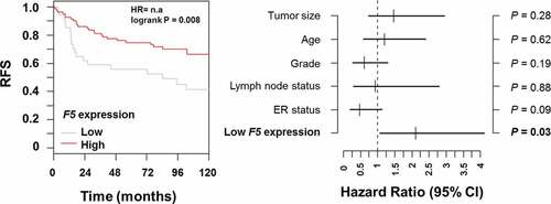 Figure 8. Multivariate analysis of relapse-free survival in breast cancer patients stratified by F5 expression in tumors.