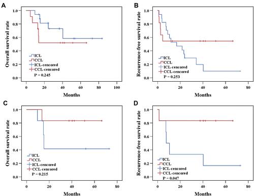 Figure 2 Kaplan-Meier survival estimates stratified by surgical strategy in the original and well-matched cohorts. Kaplan–Meier estimates of overall survival (A) and recurrence‐free survival (B) among patients who underwent CCL versus ICL before propensity score matching; overall survival (C) and recurrence-free survival (D) among patients who underwent CCL versus ICL after propensity score matching.