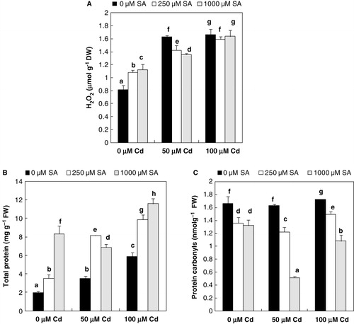 Figure 3. The effects of 8-h pretreatment with SA on hydrogen peroxide content (A), total protein (B), and protein carbonyl (C) contents in leaves of flax plantlets after 10 days of Cd stress. Values are the means of five replicates experiments ± SE. Bars with different letters are statistically different at (P ≤ 0.05).
