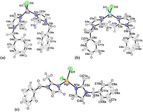 Figure 1. Oak ridge thermal ellipsoid plots (ORTEP) of the molecular structures of 1 (a), 2 (b) and 3 (c) in the crystal and atom numbering scheme adopted (displacement ellipsoids at the 50% probability level; H atoms with arbitrary radii; blue: nitrogen, green: chlorine).