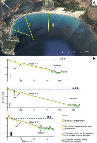 Figure 4. (A) Location of shoreface profiles in Figure 4(B). (B) Cross-shore profiles showing geomorphological features, submerged bars and troughs at Porto Pino.