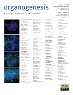 Cover image for Organogenesis, Volume 9, Issue 4, 2013